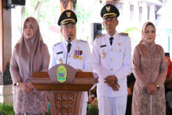 Pemkab Bantul Hapus Pajak LP2B, Siap Tertibkan Alih Fungsi Lahan