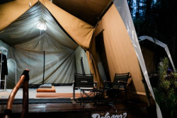 Glamping DeLoano Menoreh Dibuka Lagi, Sensasi Menginap di Hutan Pinus