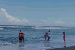 3 Wisatawan Terseret Arus Parangkusumo, Selamat