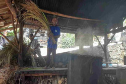 Lahan Batu di Dlingo Disulap Jadi Sumber Cuan Sereh Wangi