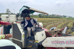 Bulog Jogja Serap 101 Ribu Ton Beras, Petani Diklaim Untung