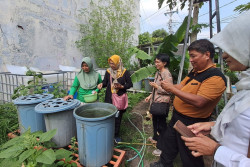 Dari Sampah Dapur Jadi Pakan, Aksi Ibu-ibu di Jogja Curi Perhatian