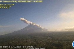 Gunung Semeru Erupsi, Awan Panas Meluncur Sejauh 4 Km