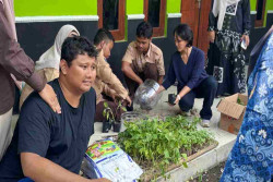 Dari Kelas ke Lahan Siswa Bantul Belajar Bertani Langsung