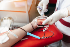 HPN 2026, Sleman Gelar Jalan Sehat hingga Donor Darah