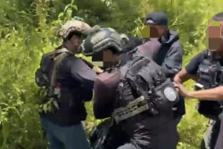 Sempat Melawan, Satgas Damai Cartenz Tangkap Anggota KKB di Timika