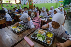 BGN Tegaskan Peran MBG Serap Produksi Beras hingga Sayuran Petani