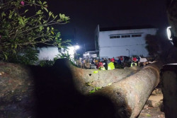 Hujan Disertai Angin Kencang Terjang Sleman, Sejumlah Rumah Rusak