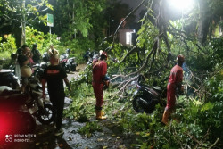Update Puting Beliung Sleman Rusak 20 Titik, Ngaglik Terparah