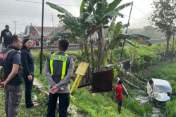 Mobil Tertabrak Kereta di Grobogan, 4 Tewas Termasuk Anak Balita