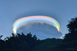 Awan Pelangi Bogor Viral, Ini Penjelasan Ilmiahnya
