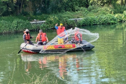 131 Kg Ikan Sapu-sapu Dibasmi di Bantul, Ancam Ikan Lokal