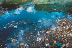 Air Sungai Belik Tercemar Berat, Bantul Tebar Ribuan Ikan