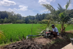 Petani Bantul Andalkan Sumur Bor Saat Kemarau Mulai Datang