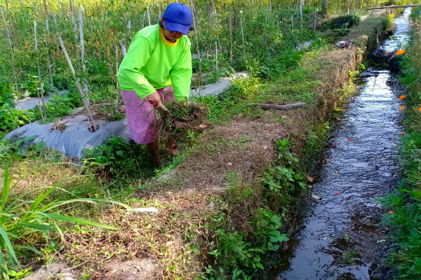 Pansus DPRD DIY: Hama hingga Irigasi Jadi PR Besar Petani