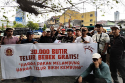 Harga Telur Bebek Anjlok, Peternak Jogja Protes Bagikan 30.000 Telur