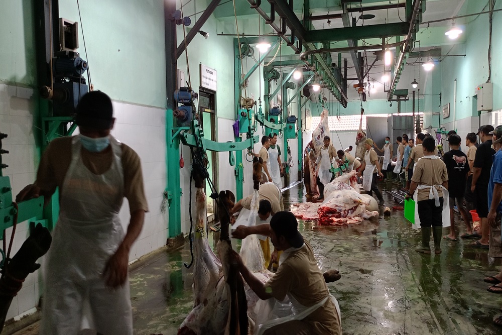 RPH Giwangan Buka Layanan Kurban, Tarif Mulai Rp150 Ribu