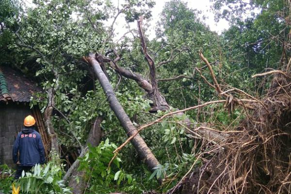 KID DIY Fokus Informasi Kebencanaan, Sultan Dorong Sistem Satu Pintu
