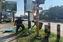 Bantul Bersih-bersih Sampah Visual, Puluhan Reklame Ditertibkan