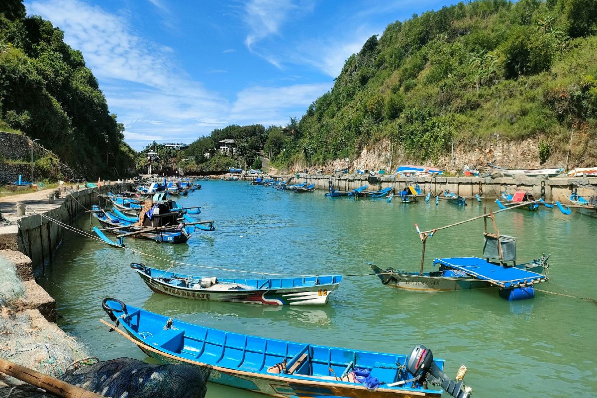 Produksi Ikan Turun Drastis, Nelayan Gunungkidul Pilih Tangkap Benur