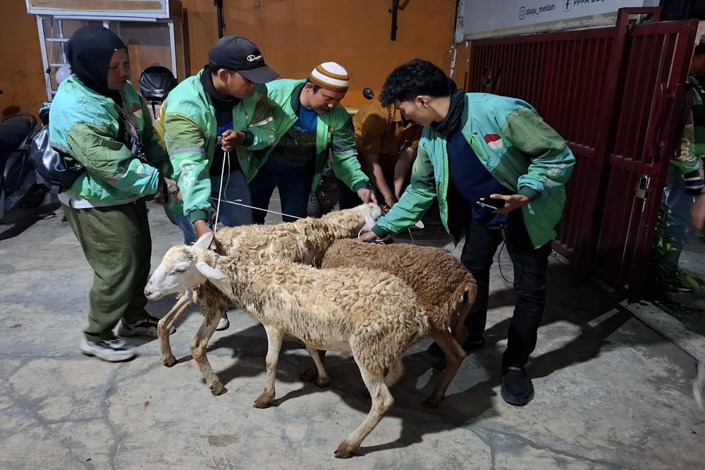 Jelang Iduladha, Permintaan Kambing di Bantul Diprediksi Meningkat