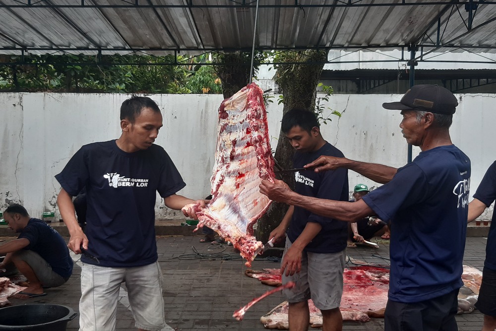 Dinkes Sleman Perketat Pemisahan Jeroan Kurban Cegah Kontaminasi