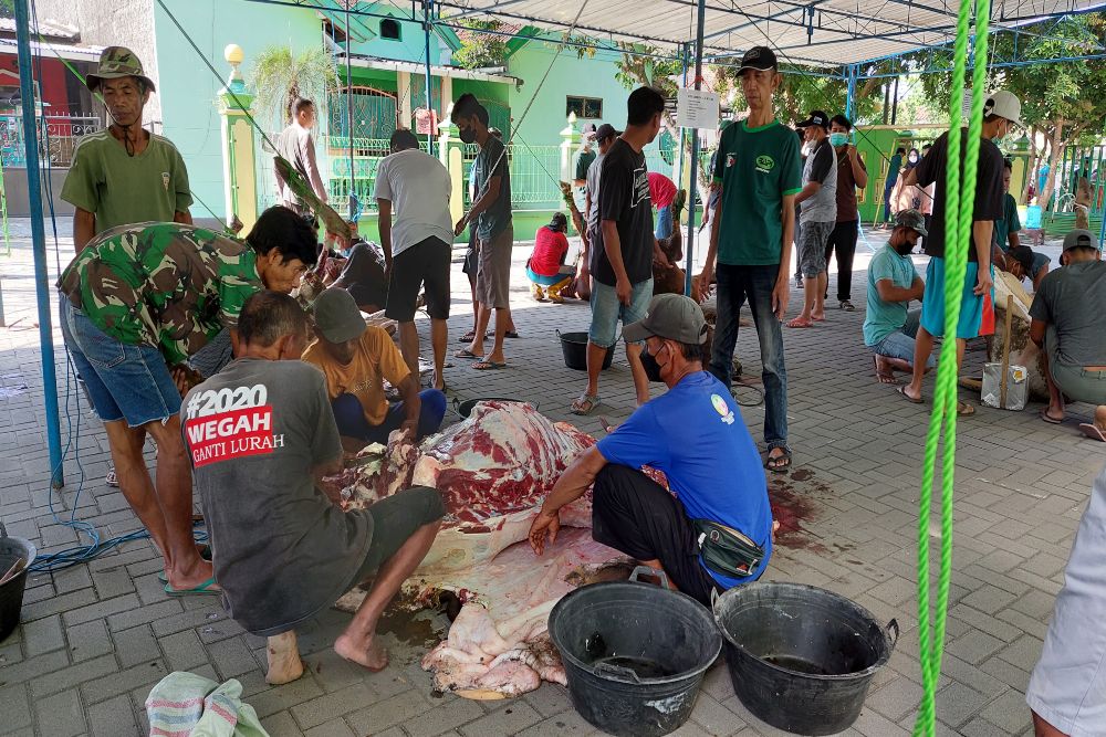 Potong Hewan Kurban Bisa Picu Infeksi Kulit, Dokter Bagikan Tips Aman