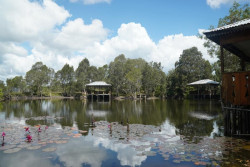 Tim UGM dan UIN Bandung Bersaing Perebutkan Desa Wisata Terong