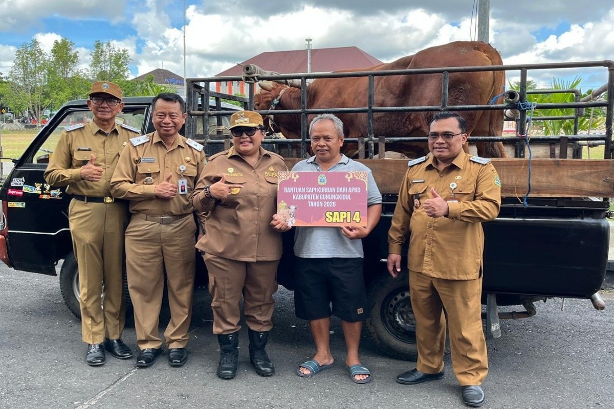 Permintaan Hewan Kurban Naik, 4.700 Sapi Gunungkidul Ludes Terjual