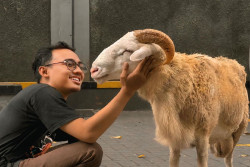 Harper Malioboro Jogja Salurkan 3 Kambing Kurban, Ini Tujuannya