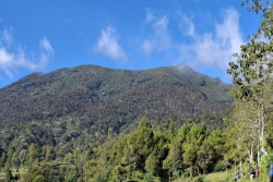 Pendakian Gunung Gede Pangrango Ditutup 27-28 Mei 2026