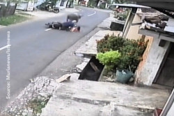Membahayakan Warga, Kerbau Ditembak Mati di Kudus