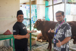 Solusi Bangun Indonesia Salurkan 21 Ekor Hewan Kurban di Cilacap