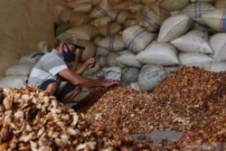Selat Hormuz Ditutup, Harga Kakao Melonjak Tajam Juni 2026