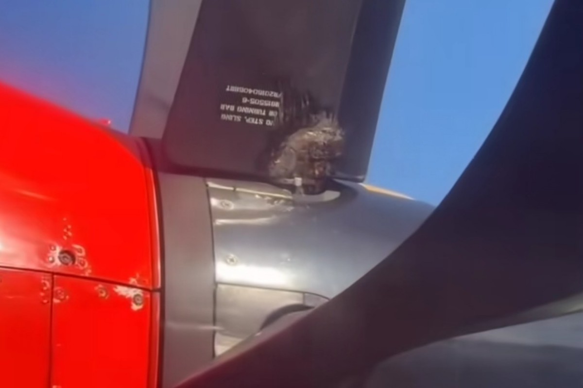 Viral Video Baling-Baling Wings Air Diikat Kabel Ties, Ini Faktanya