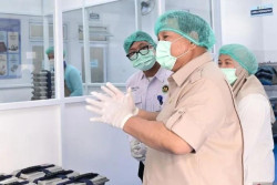 Prabowo Cek Dapur MBG, Pastikan Makanan Aman dan Bergizi