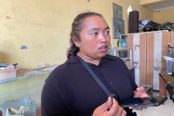 Misteri Api di Sleman Belum Terungkap, Sudah Muncul 87 Kali