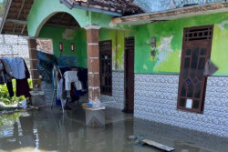 Banjir Rob Rendam Tiga Desa di Rembang, Abrasi Ancam Permukiman