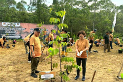 UGM dan PAMA Perkuat Konsep Forest City IKN Lewat Penanaman Pohon