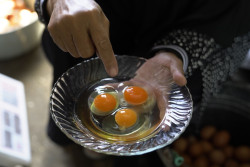Cage Free Farm Tingkatkan Kualitas Telur Ayam dan Kesejahteraan Warga