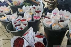 Harga Mawar Melejit! Tembus Rp170 Ribu Saat Musim Wisuda
