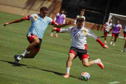 Timnas Jerman Terganggu Kemunculan Ular Berbisa di Kamp Latihan