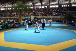 3.000 Atlet Ramaikan Taekwondo Championship di UNY, 5 Negara Ikut