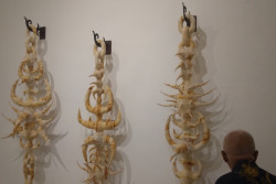 ISI Jogja Angkat Seni di Era AI Lewat Pameran Post-Machine Algorithm