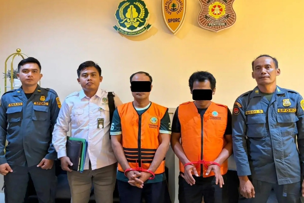 Kemenhut Tetapkan 4 Tersangka Buka Lahan Ilegal di Hutan UGM Ngawi