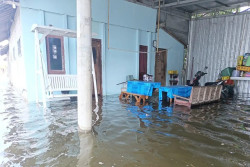 Banjir Rob Pati Rendam 73 Rumah dan 85 Hektare Tambak