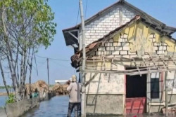 Banjir Rob Pati Surut, BPBD Tetap Siapkan Tempat Evakuasi