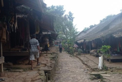 Serangan Babi Hutan dan Monyet Rugikan Petani Badui di Lebak