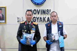 BNNP DIY Bongkar 2 Kasus, Sita 232 Gram Ganja dan 148 Gram Tembakau