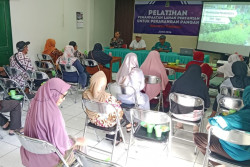Kelurahan Kadipaten Dorong Pekarangan Pangan untuk Ketahanan Keluarga